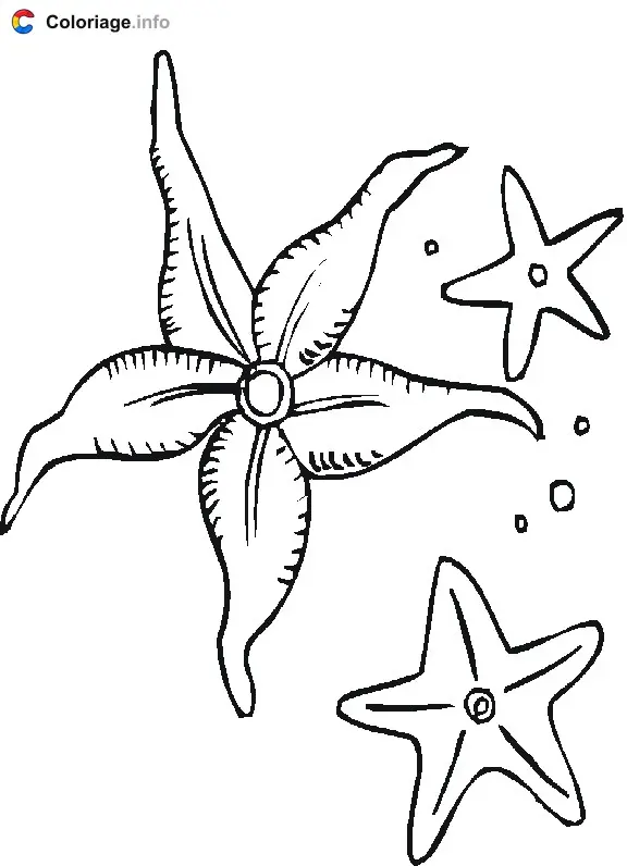 Three Starfish and Bubbles coloring page to print