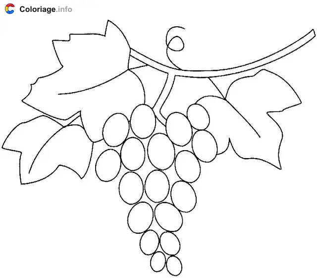 Three Leaves and a Bunch of Grapes coloring page to print