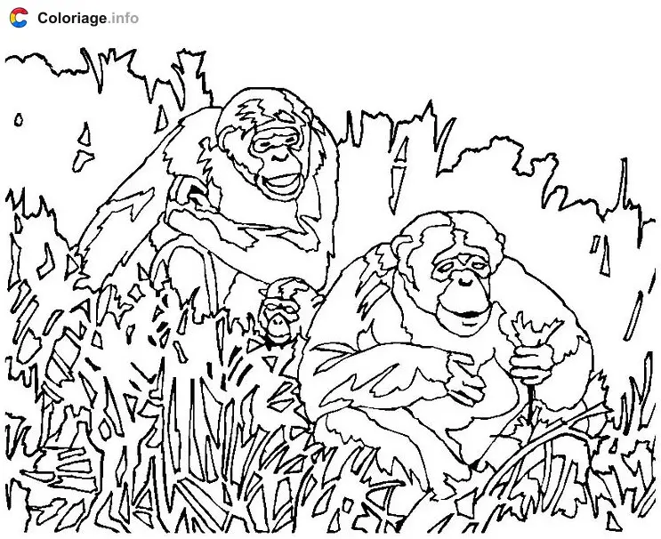 Three Monkeys in the Jungle coloring page to print