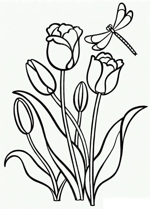 Coloriage Tulipe Clusiana en fleur - Tulipe à imprimer