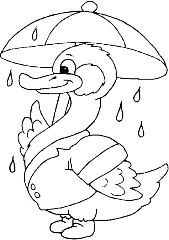 A Duck With an Umbrella coloring page to print