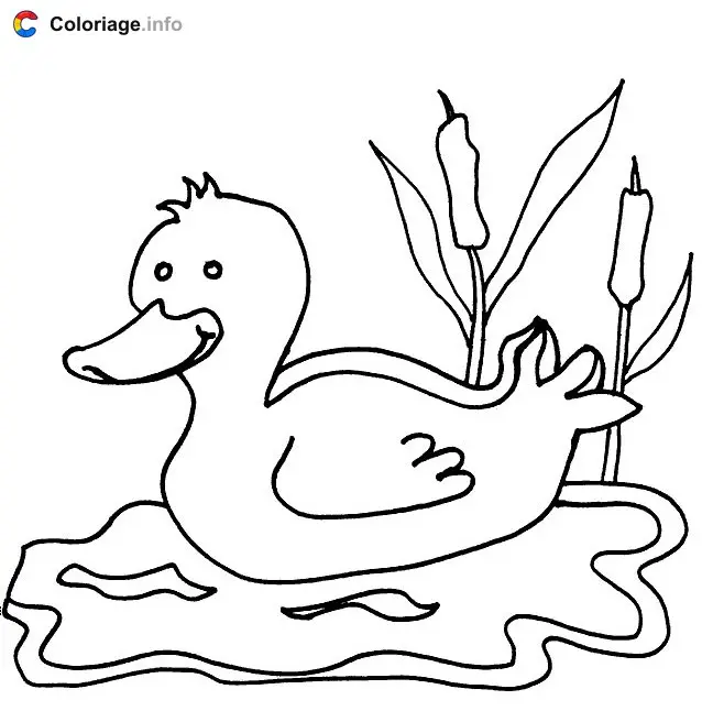 Duck on the Water coloring page to print