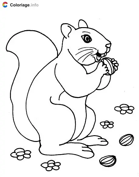 Squirrel Eating a Nut coloring page to print