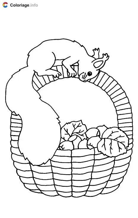 Squirrel on a Basket of Hazelnuts coloring page to print