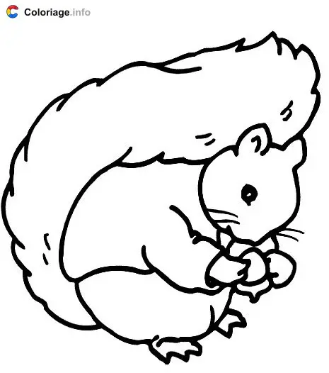 A Playful Squirrel coloring page to print