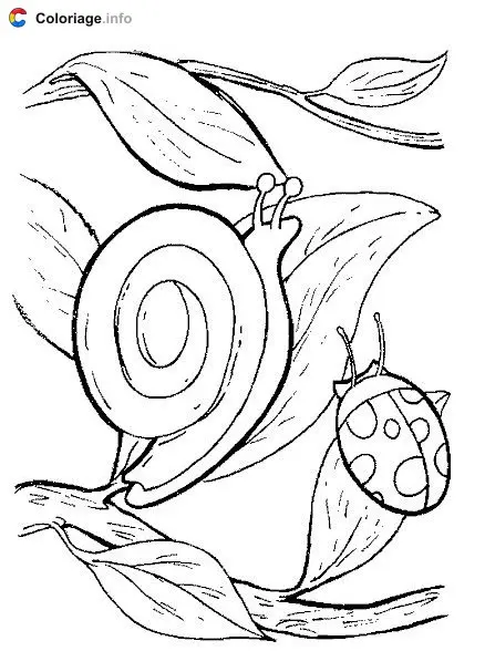 Snail and Ladybug coloring page to print