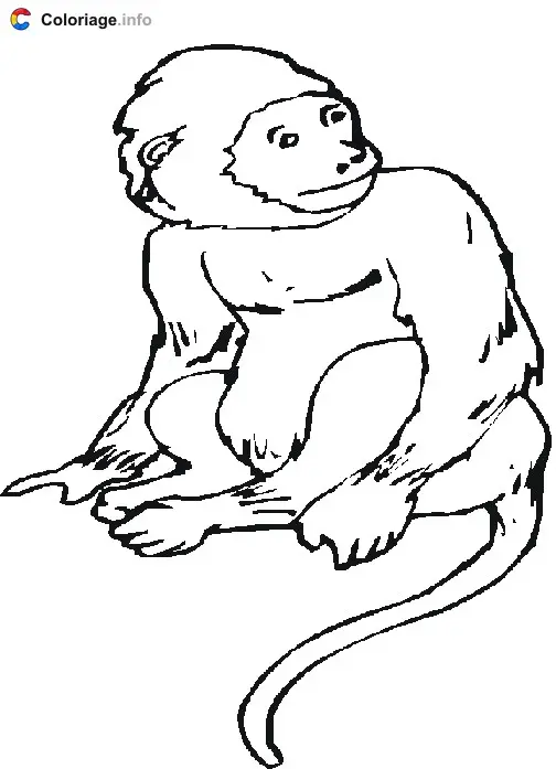 A Gorilla coloring page to print