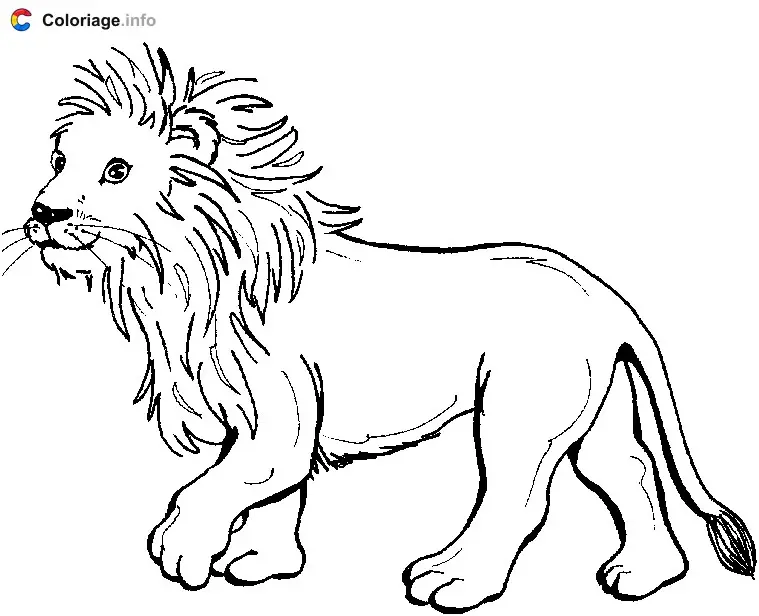 Young Lion Cub coloring page to print