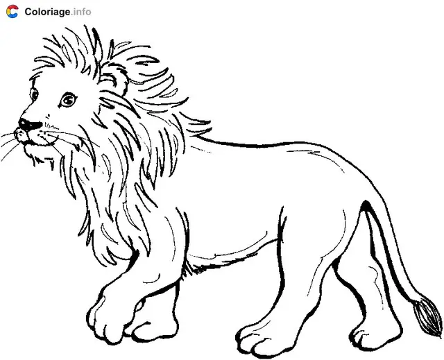 Coloriage Un jeune lionceau - Lion à imprimer