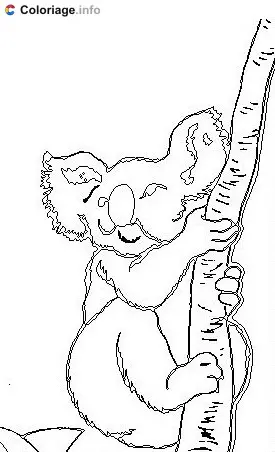 Koala on a Branch coloring page to print