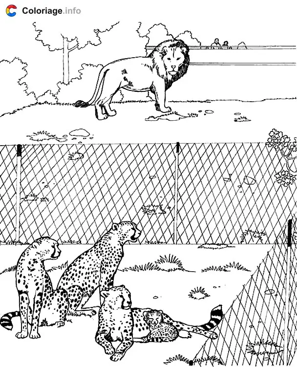 Lion and Leopards at the Zoo coloring page to print