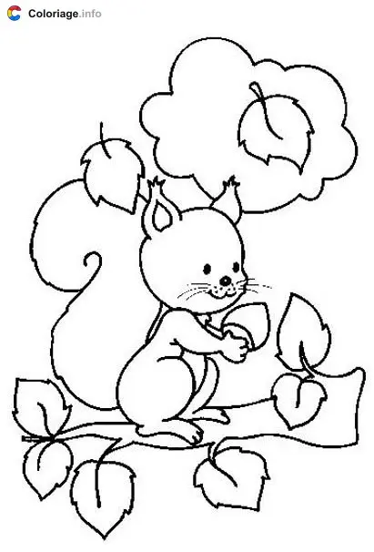 Little Squirrel on a Branch with a Hazelnut coloring page to print