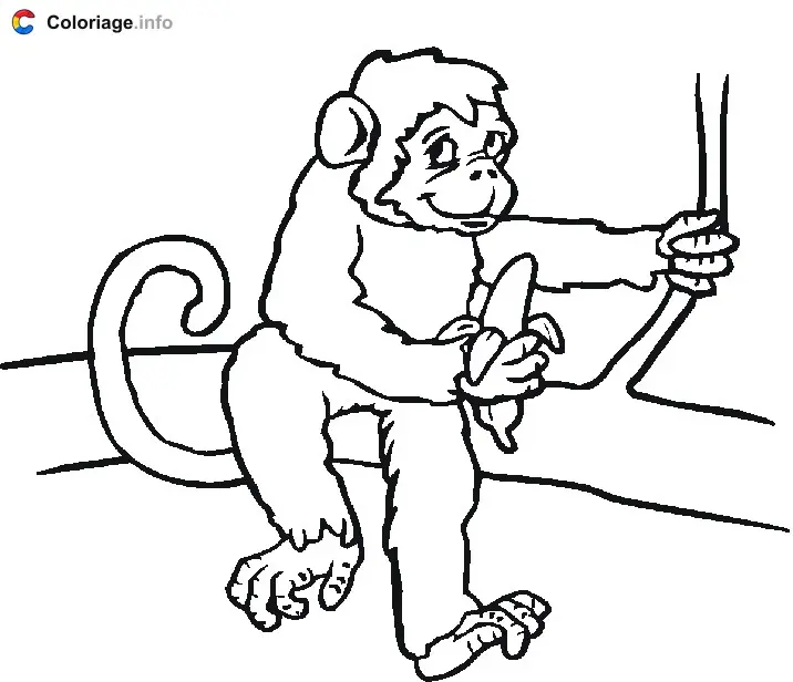 Monkey Sitting on a Branch with a Banana coloring page to print