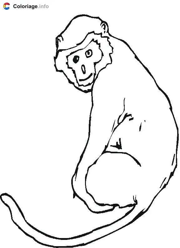 Monkey with His Tail coloring page to print