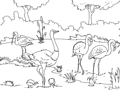 Disegno di Uno struzzo nel suo habitat naturale da stampare