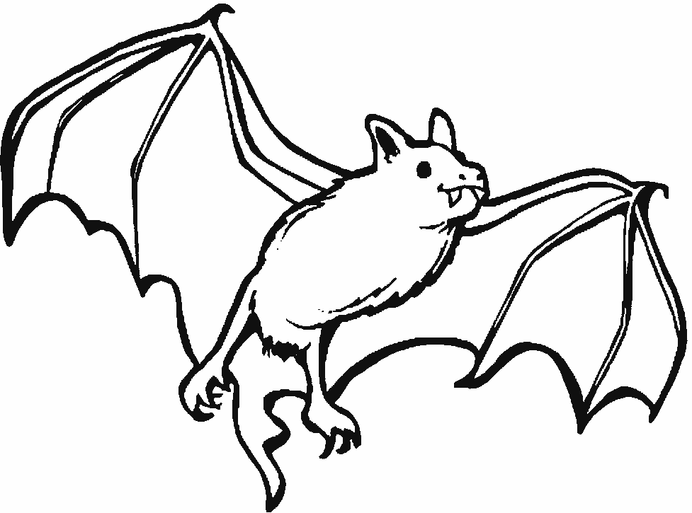 Coloriage Une Chauve Souris Vampire - Halloween chauve souris à imprimer