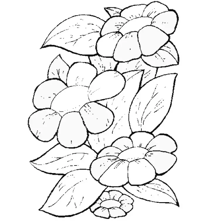 A Flower coloring page to print