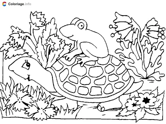 Frog Sitting on a Turtle's Shell coloring page to print