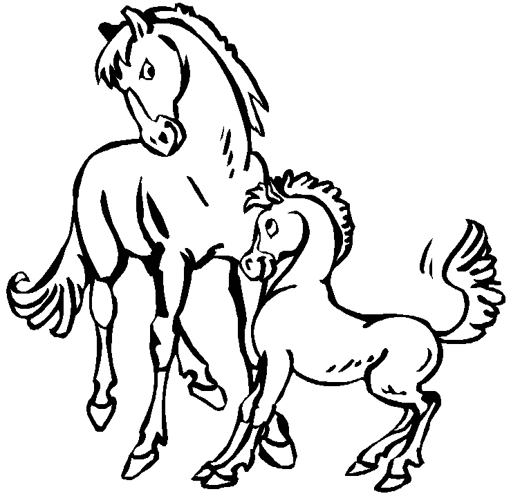 Coloriage Une Jument Avec Son Petit - Cheval à imprimer