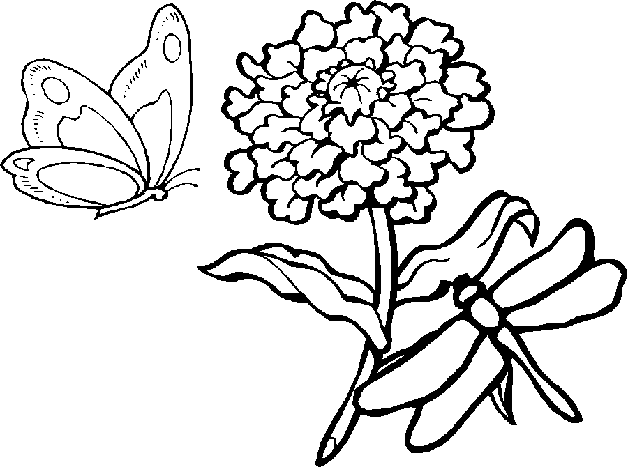 Coloriage Une Libellule Et Un Papillon Volent Autour D'Une Fleur - Papillon à imprimer