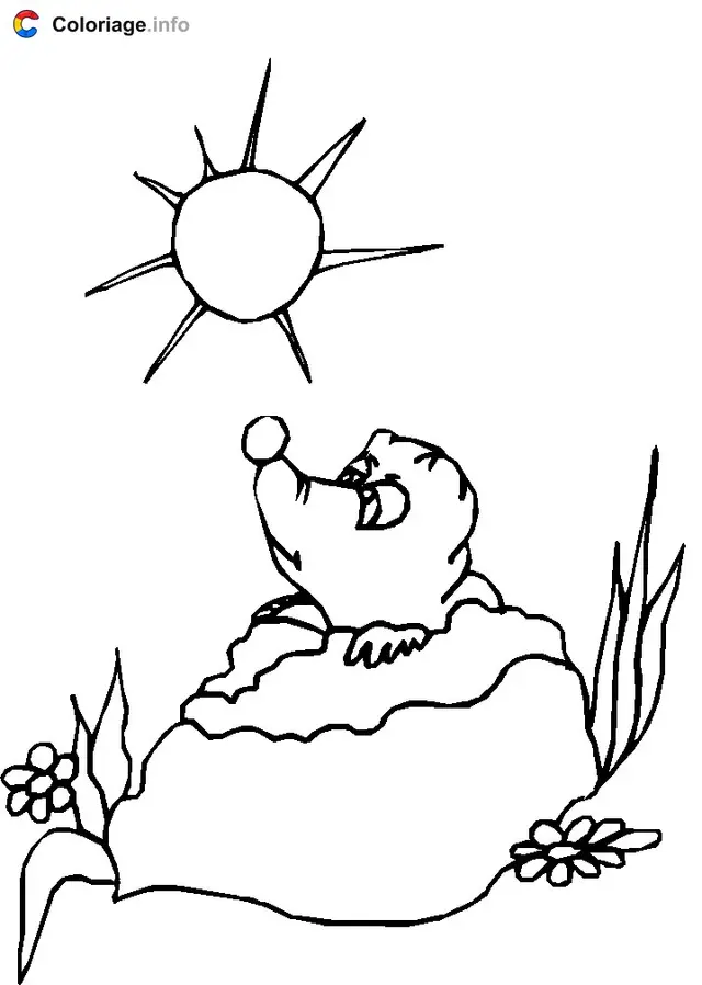 Ausmalbild Murmeltier in der Sonne zum Ausdrucken