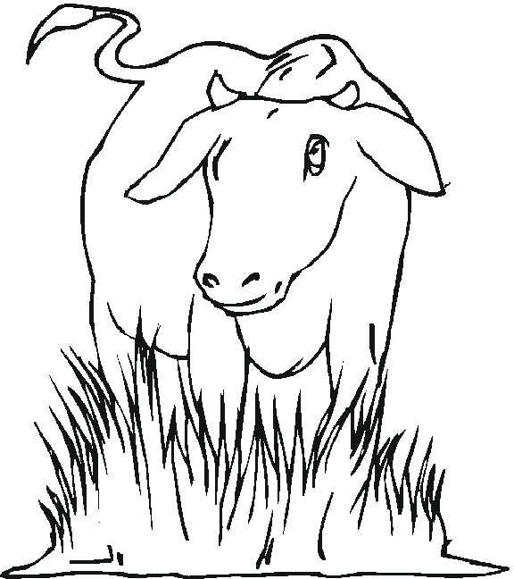 Coloriage Une Vache Dans Une Prairie - Vache à imprimer