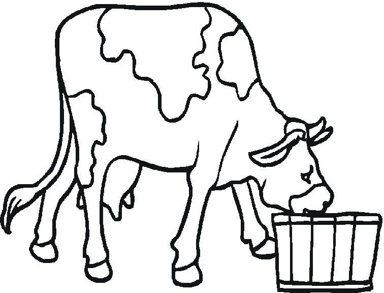 Disegno di Una mucca che beve acqua da stampare