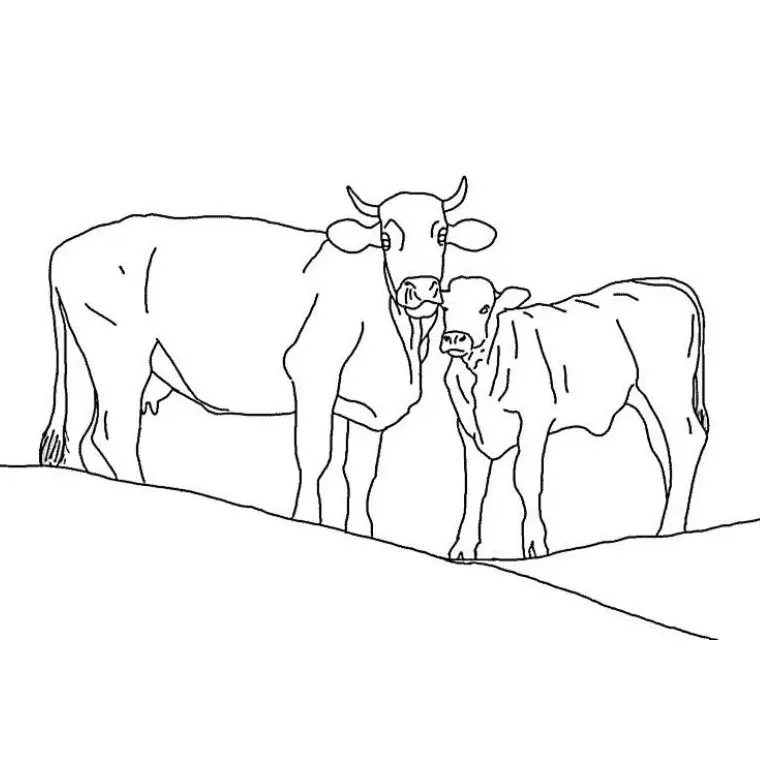 Disegno di Mucche da stampare