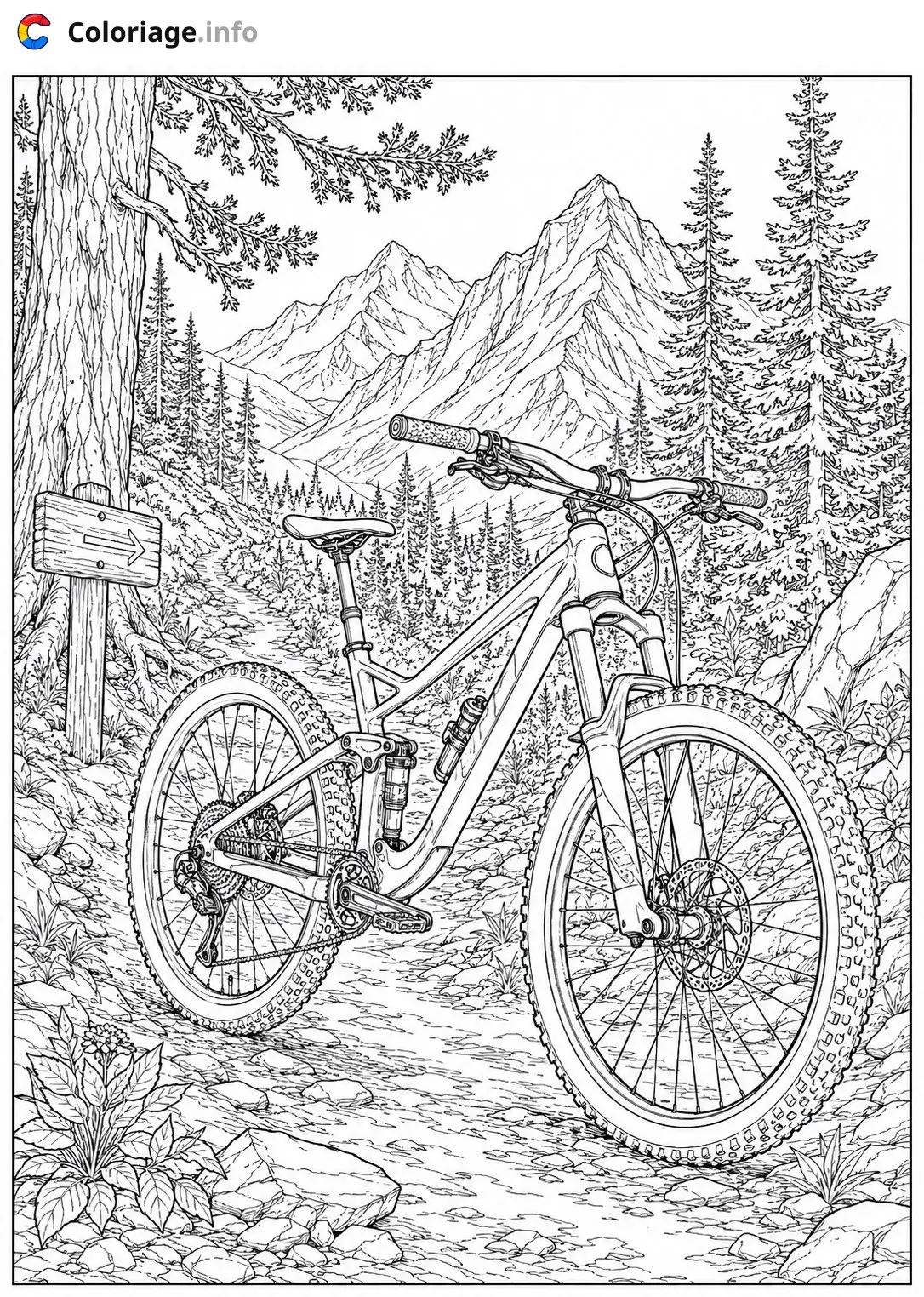 Coloriage Vélo de montagne en forêt - Vélo à imprimer
