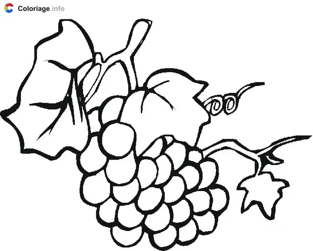 Grapevine and Grapes coloring page to print