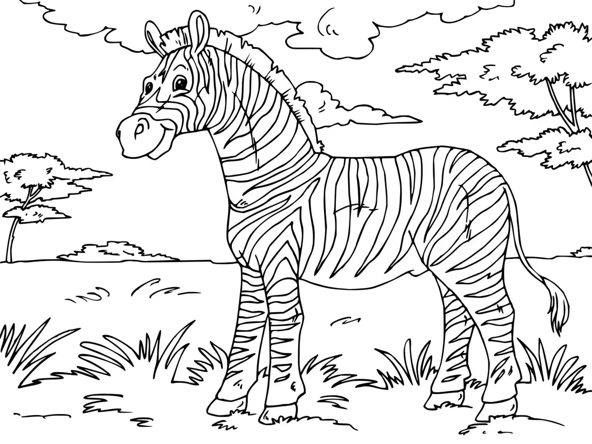 Disegno di Zebra, il mammifero erbivoro simile al cavallo da stampare