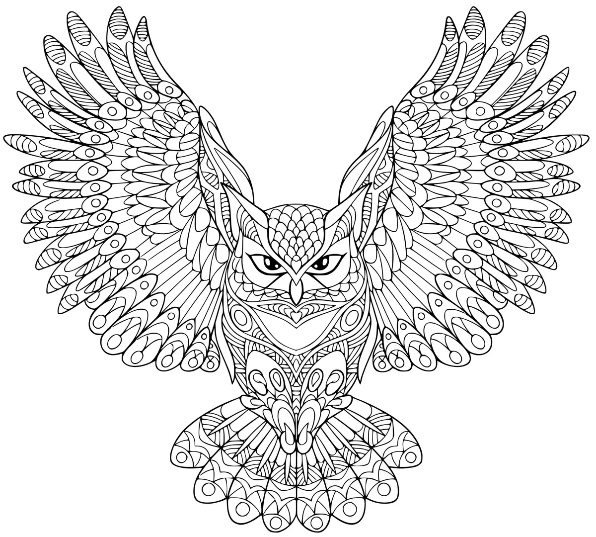 Ausmalbild Zentangle Adler Eule Halloween – Ausmalbilder für Erwachsene zum Ausdrucken