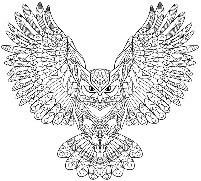 Coloriage Zentangle Aigle Hibou Halloween Adulte - Halloween à imprimer