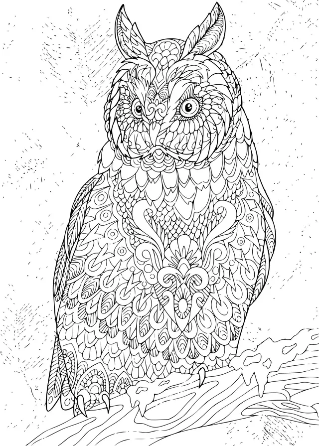 Desenho de Coruja-do-mato Zentangle para colorir