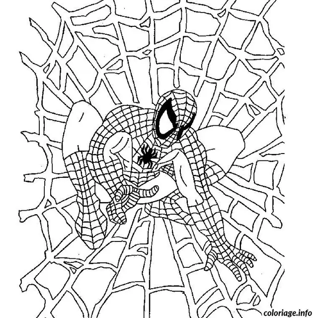 Coloriage Halloween spiderman - Halloween à imprimer