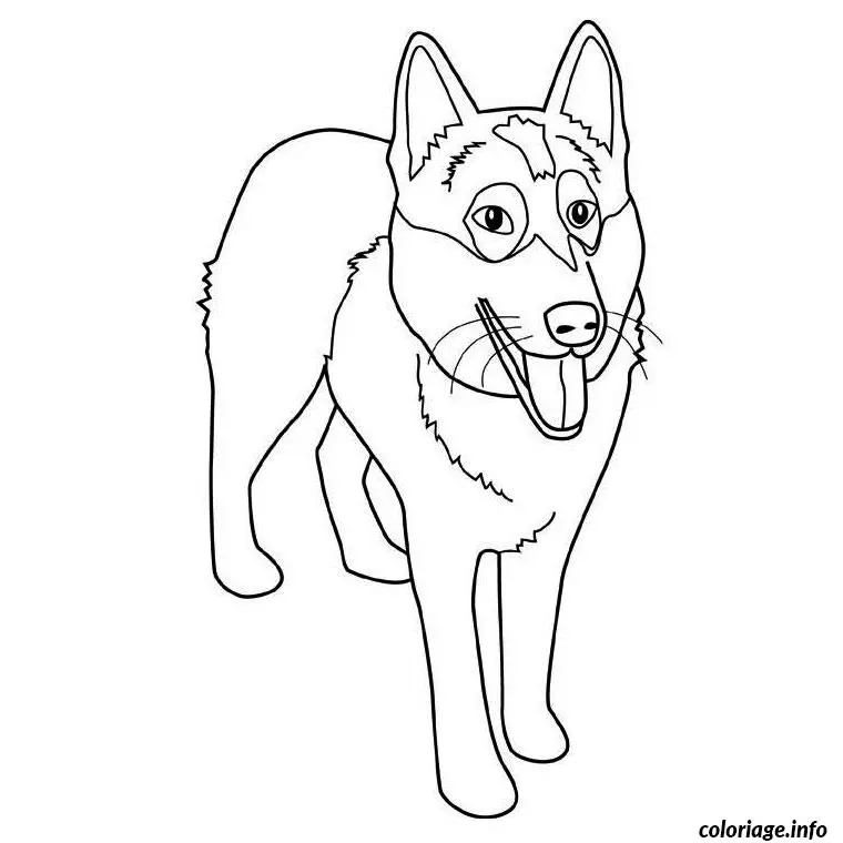 Elegant Husky with Fine Details coloring page to print