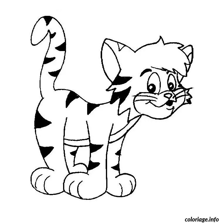 Coloriage Chat rigolo - Chat à imprimer