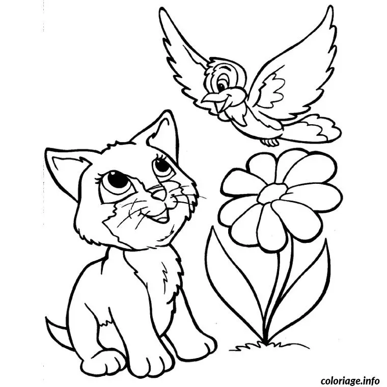 Coloriage Chat oiseau fleur - Oiseau à imprimer
