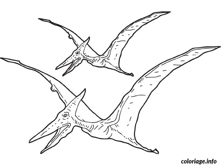 Coloriage Dessin dinosaure pterosauria - Dinosaure à imprimer