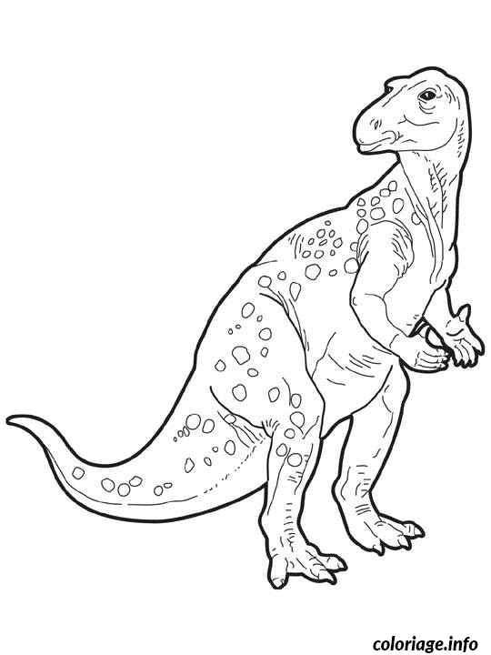 Coloriage Dessin dinosaure iguanodon - Dinosaure à imprimer