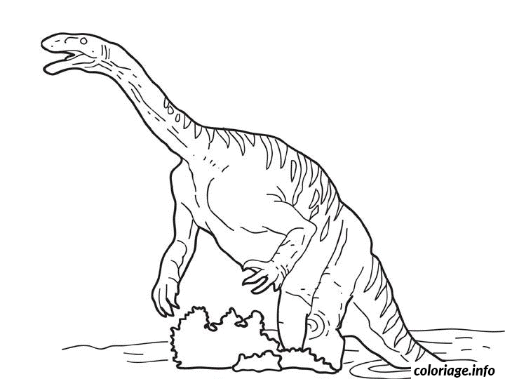 Coloriage Dessin dinosaure plateosaure - Dinosaure à imprimer