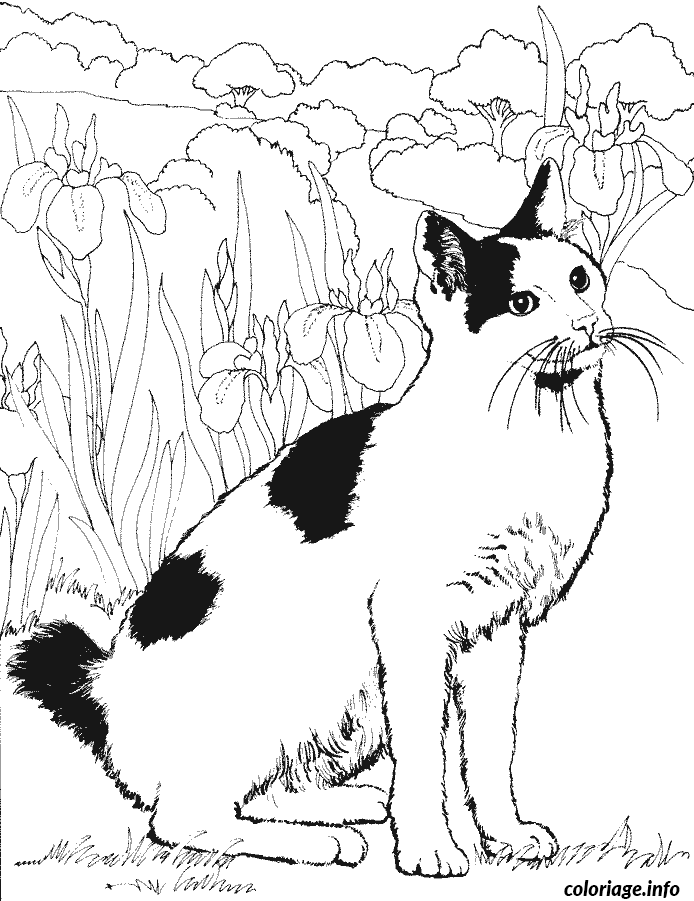 Coloriage Un chat dans le jardin - Chat à imprimer