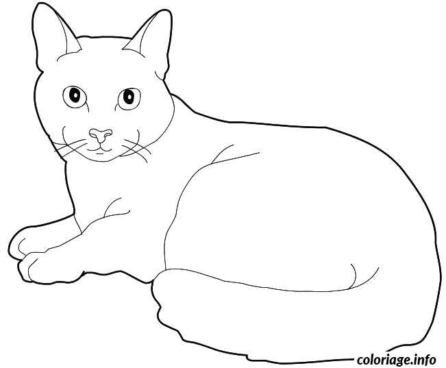 Coloriage Bleu russe chat maltais - Chat à imprimer