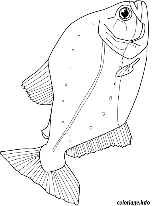 Ausmalbild Piranha zum Ausdrucken