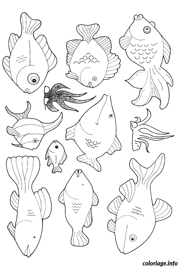 Coloriage Poisson nageur aux écailles détaillées - Poisson à imprimer