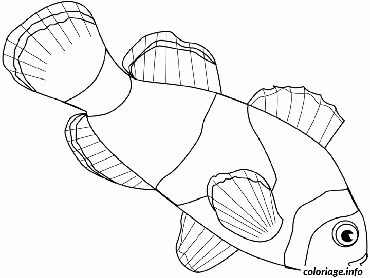 Coloriage Poisson tropical aux nageoires ondulantes - Poisson à imprimer