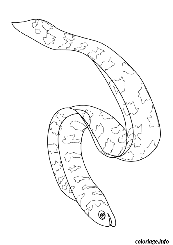 Coloriage Poisson fantaisie aux motifs géométriques - Poisson à imprimer