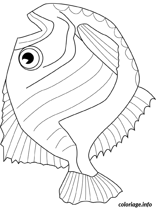 Coloriage Poisson hatchet - Poisson à imprimer