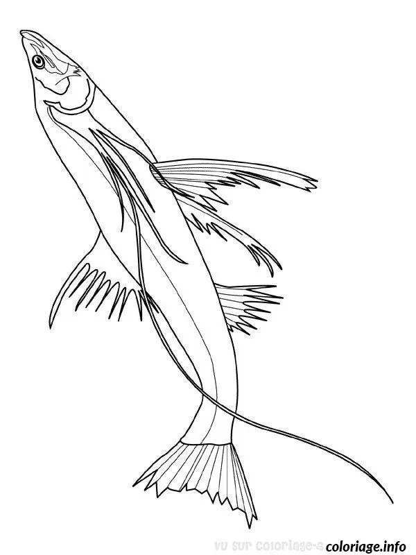 Coloriage Poisson tropical aux écailles éclatantes - Poisson à imprimer