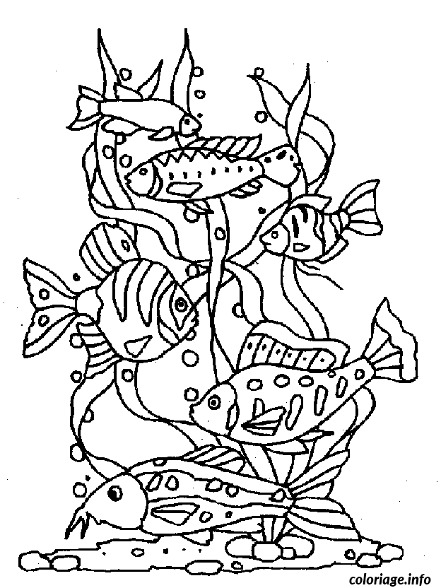 Coloriage Petit poisson nageur en pleine action - Poisson à imprimer